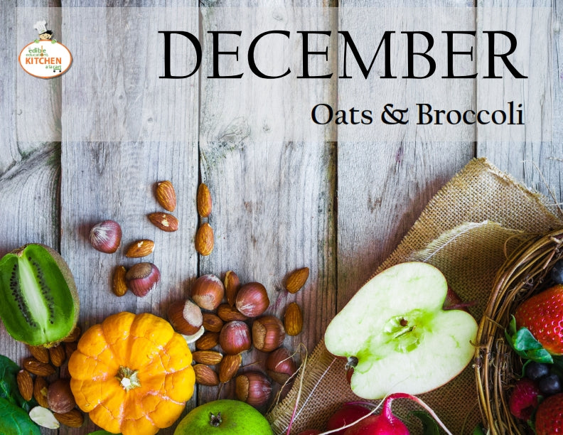 The Edible Education Group Winter Curriculum Bundle