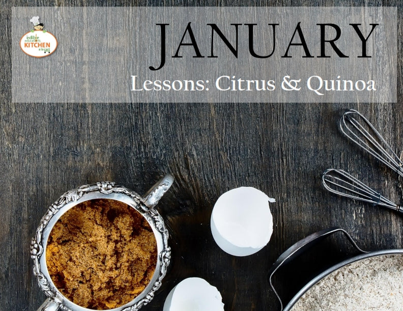 The Edible Education Group Winter Curriculum Bundle