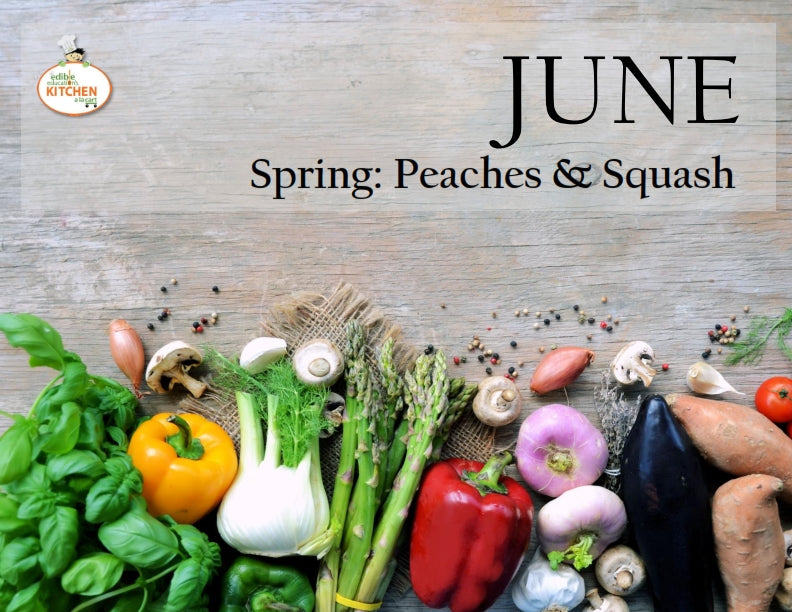 The Edible Education Group - Summer Curriculum Bundle
