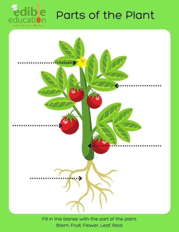 The Edible Education Group - Grow It, Cook it with Activity Book (39 Pages)